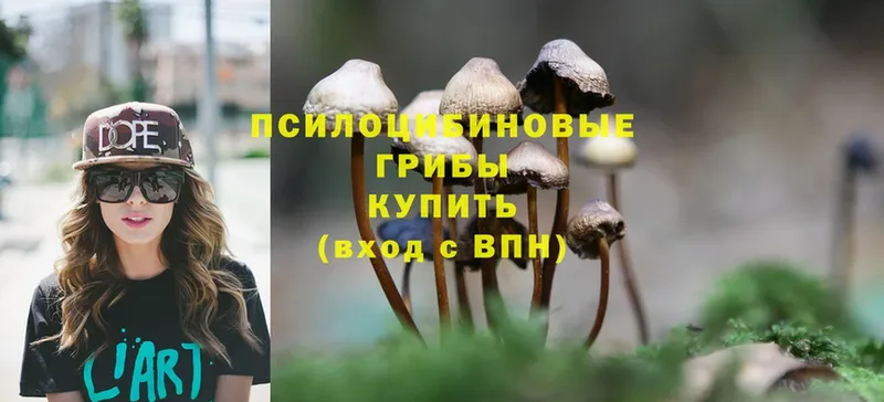 OMG как зайти  Красноуральск  Галлюциногенные грибы MAGIC MUSHROOMS  цена наркотик 